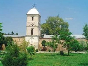 Manastirea-Voievozi-20110503102717